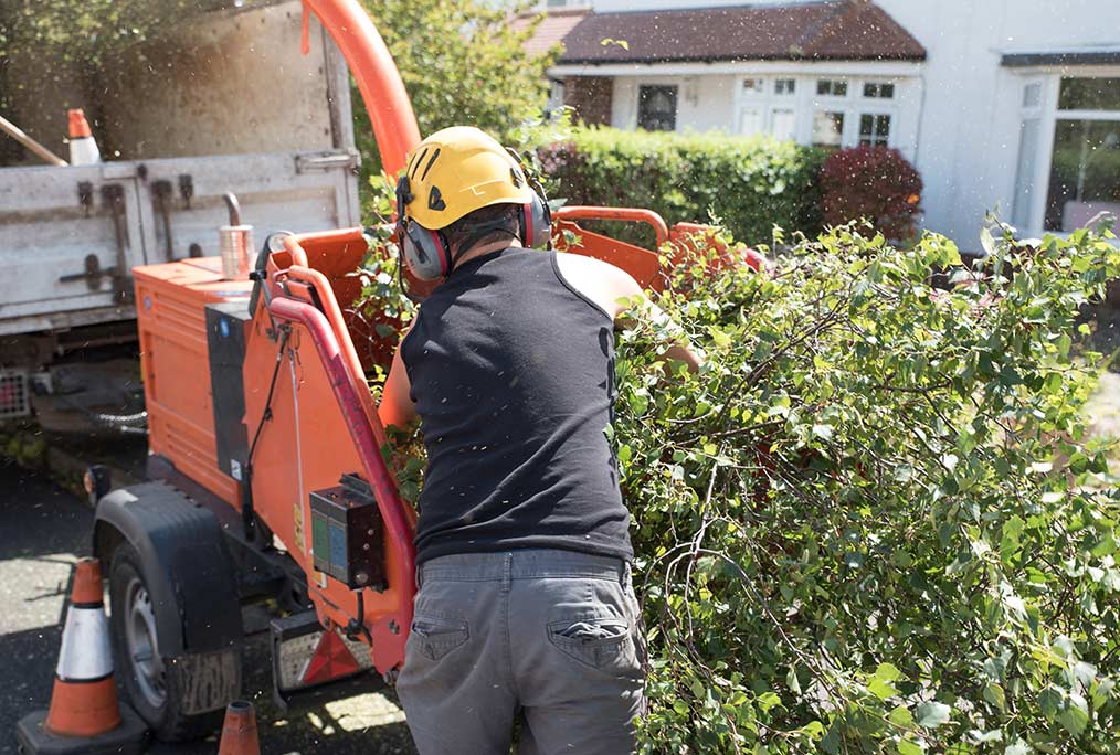 Entreprise de broyage et fauchage d’herbe et branche 