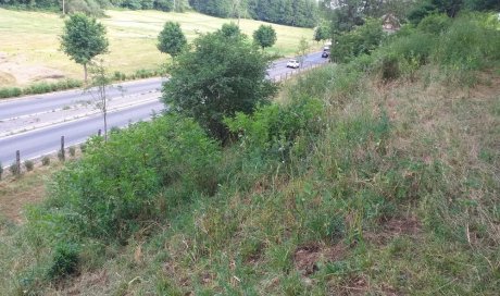 débroussaillage de terrains en friche