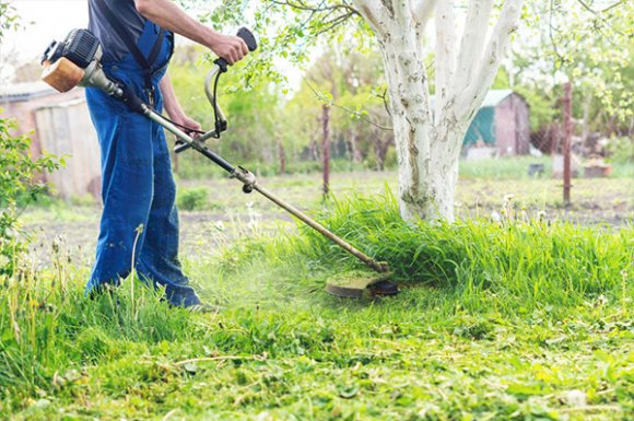 Professionnel pour le fauchage des mauvaises herbes dans un jardin à Besançon 