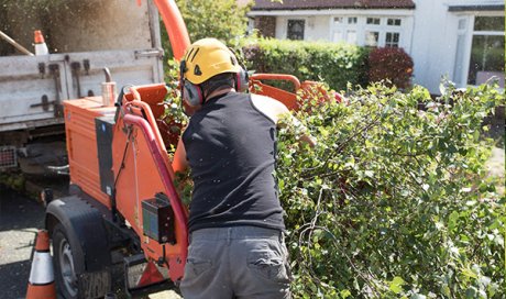 Entreprise pour le broyage d’herbe et de ronce avec machine automatique à Besançon 