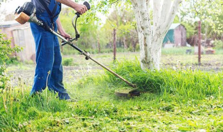 Professionnel pour le fauchage des mauvaises herbes dans un jardin à Besançon 